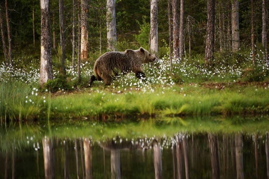 Отдых в России