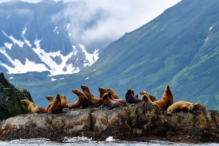 Летний отдых в России