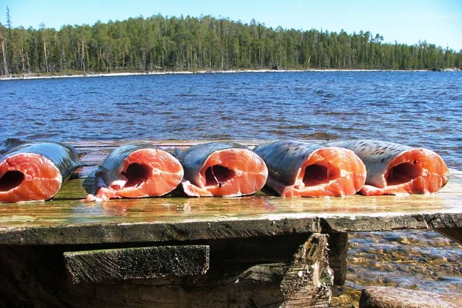 Едем на отдых в Карелию